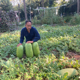 Charleston Gray Watermelon