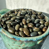 Malawi Green Bean