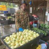 Nya Nya Chungu (African Eggplant)