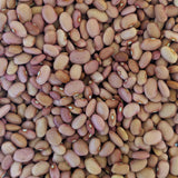 Bolita Bean