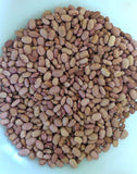 Bolita Bean
