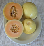 Huerfano Bliss Melon