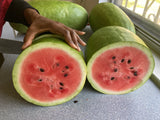 Charleston Gray Watermelon