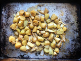 Cocoxochitl (Culinary Dahlias)