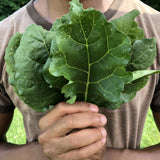 Gboma (Eggplant Leaf)