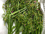 Waterleaf (Efo Gbure)