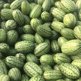 Cucamelon (Mouse Melon)
