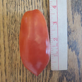 Butalina di Castellamonte Tomato