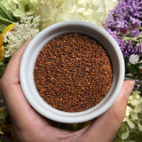 Chamsur (Garden Cress)