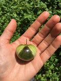 De Milpa Tomatillo