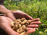 Garbanzo Mix