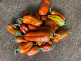 Pippin's Golden Honey Pepper