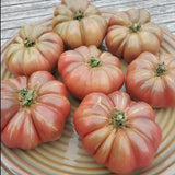 Purple Calabash Tomato