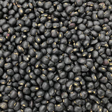 Rouge et Noir Field Pea