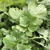 Seven Top Turnips