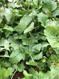 Seven Top Turnips