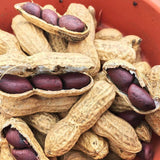 Black Peanuts