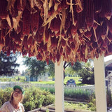 Bloody Butcher Corn
