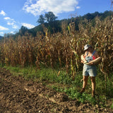 North Georgia Candy Roaster Squash