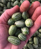 Cucamelon (Mouse Melon)
