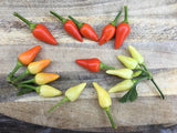 Elinitsa Chili (Greece)