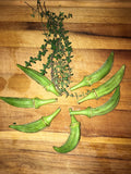 Elinitsa Okra (Greece)