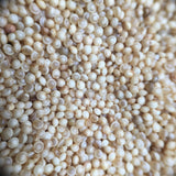 Golden Red Amaranth