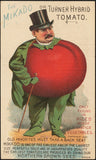 Mikado Tomato