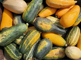 Palestinian Summer Squash Mix