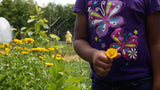 Resina Calendula