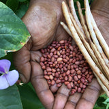 Sea Island Red Pea