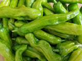 Shishito Pepper